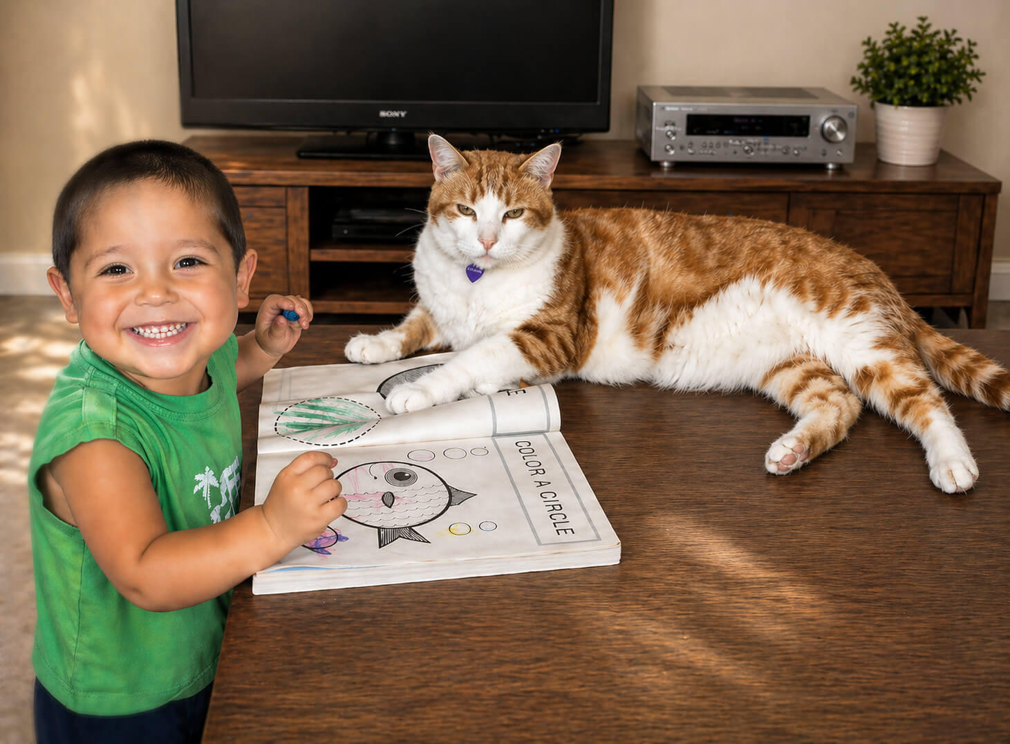 Child in green shirt with cat on wooden table, TV and entertainment console in background