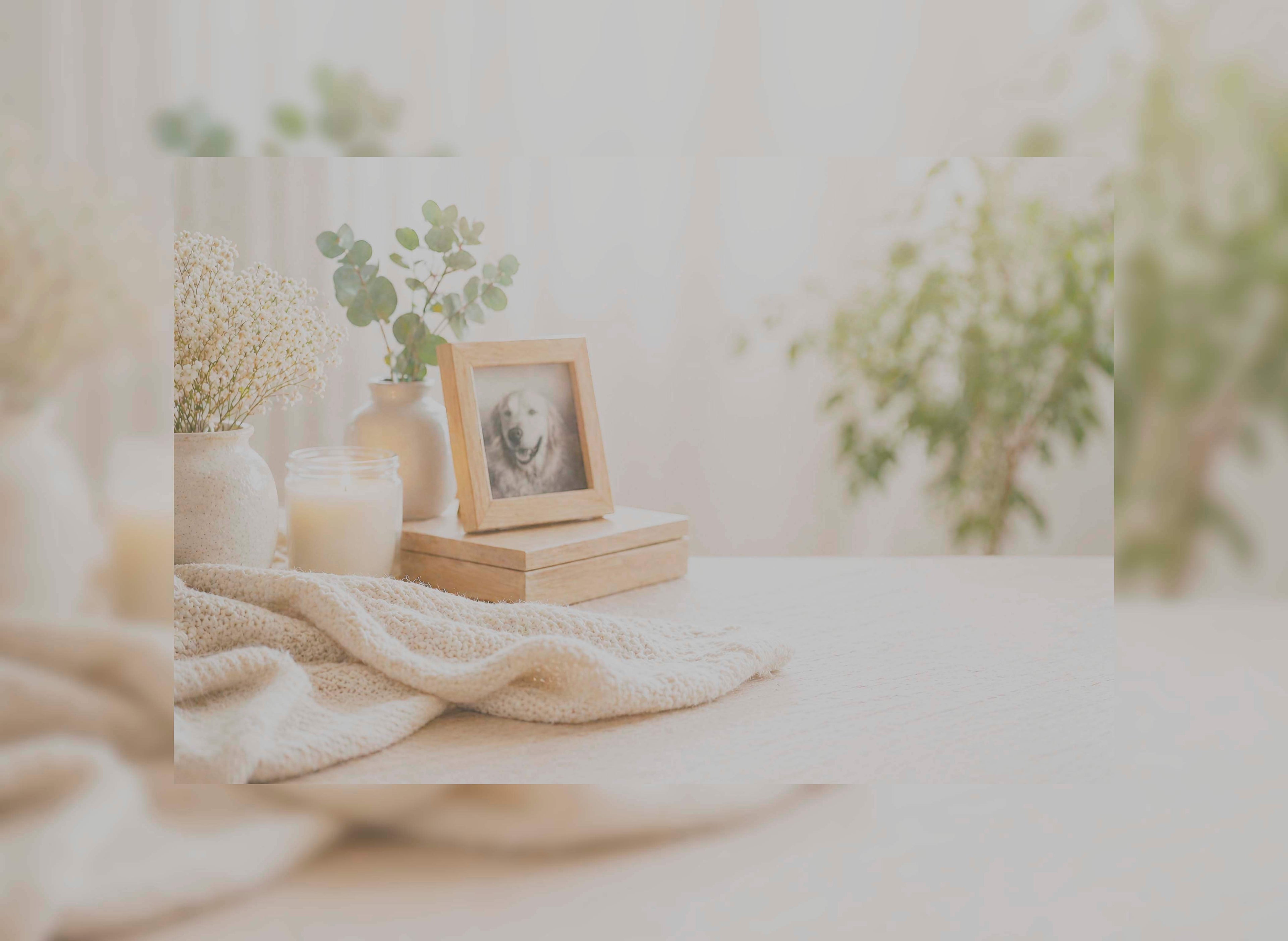 Decorative setting with a framed photo, candles, and plants on a table.