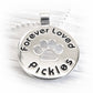 Sterling silver remembrance pendant for a lost pet with custom engraving and a paw print cutout